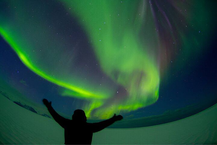 Small Group Northern Lights Tour by Sprinter Minibus from Reykjavík (3/12)