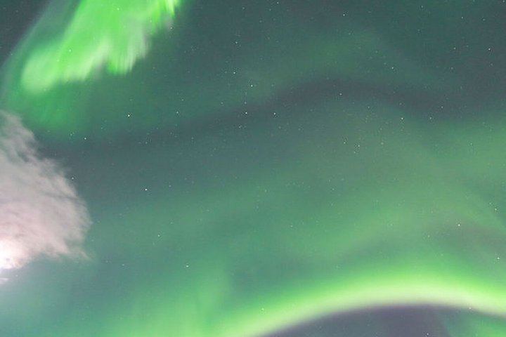 Northern Lights Tour from Kvaloya with Steam Tours (9/12)