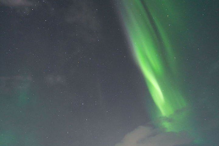 Northern Lights Tour from Kvaloya with Steam Tours (10/12)