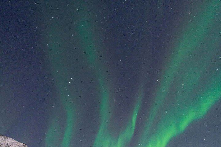 Northern Lights Tour from Kvaloya with Steam Tours (12/12)