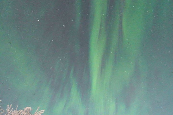 Northern Lights Tour from Kvaloya with Steam Tours (11/12)