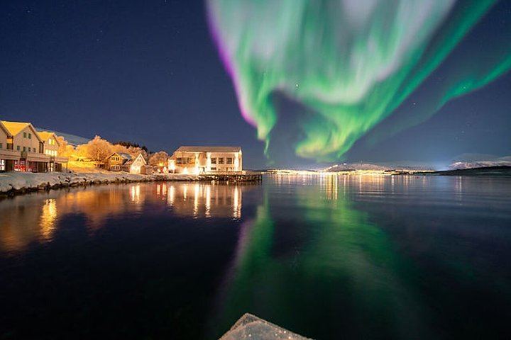 Northern Lights Tour from Kvaloya with Steam Tours (6/12)