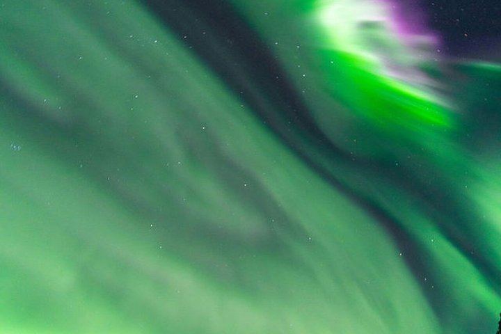 Northern Lights Tour from Kvaloya with Steam Tours (7/12)