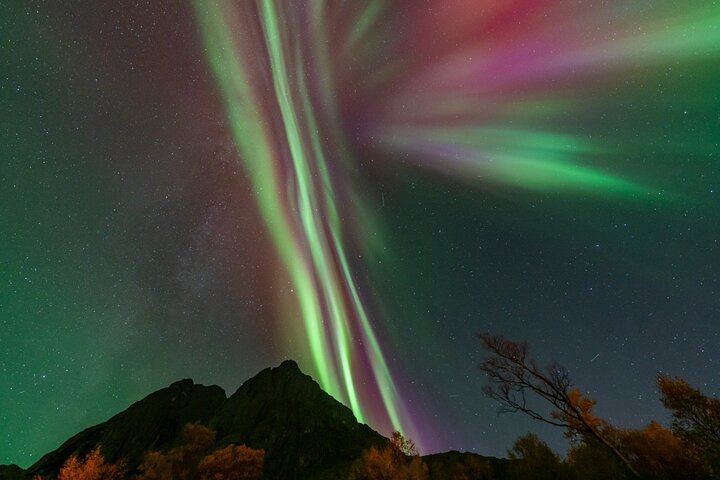 Minibus-Tour zur Beobachtung des Nordlichts in Tromsø, inklusive Skycam, Toilette, Verpflegung und Fotos (9/12)