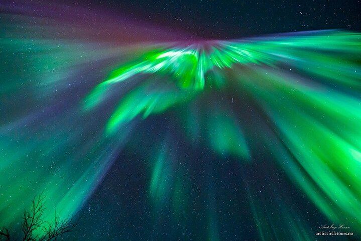 Minibus-Tour zur Beobachtung des Nordlichts in Tromsø, inklusive Skycam, Toilette, Verpflegung und Fotos (10/12)