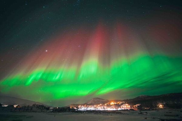 Northern Lights Tour from Kvaloya with Steam Tours