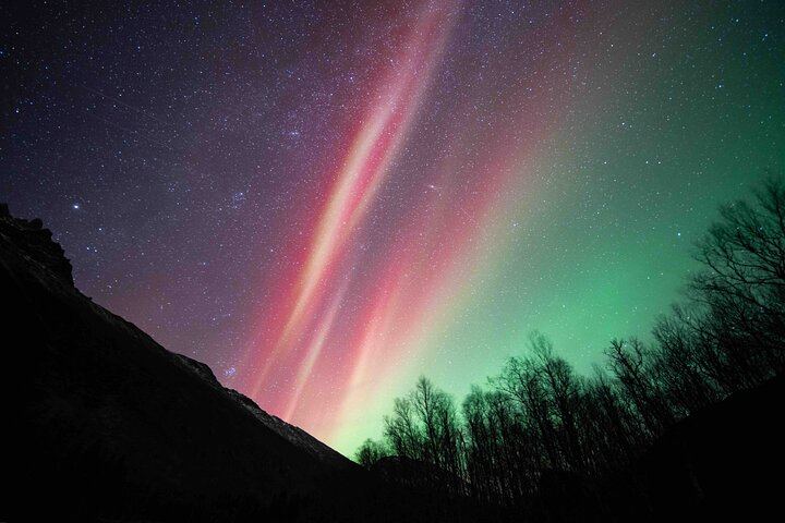 Northern Lights Tour from Kvaloya with Steam Tours (1/12)