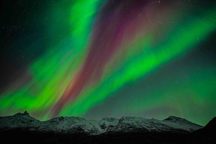 Northern Lights Tour from Kvaloya with Steam Tours (4/12)