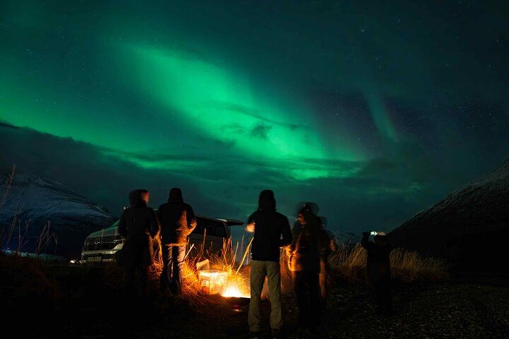 Northern Lights Tour from Kvaloya with Steam Tours (2/12)
