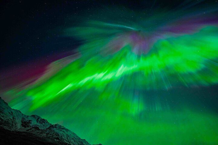 Northern Lights Tour from Kvaloya with Steam Tours (3/12)