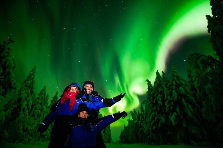 Family Friendly Northern Lights Evening from Rovaniemi, 3 Hours (7/11)