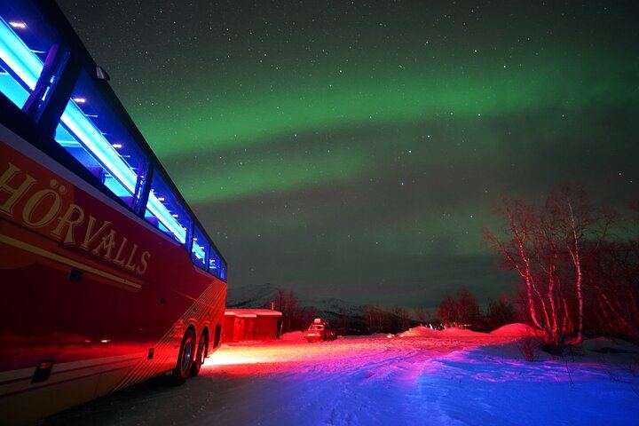 Northern Lights Tour from Kiruna to Abisko National Park (8/12)