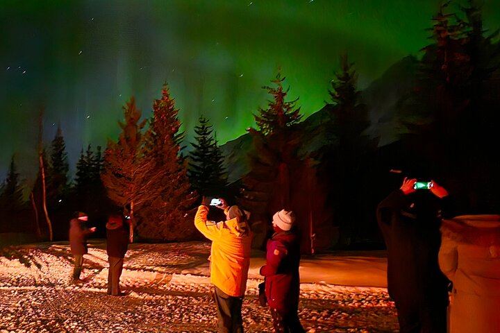 Chasse aux aurores en minibus à Tromsø, avec un guide local et un camp de base privé (1/8)