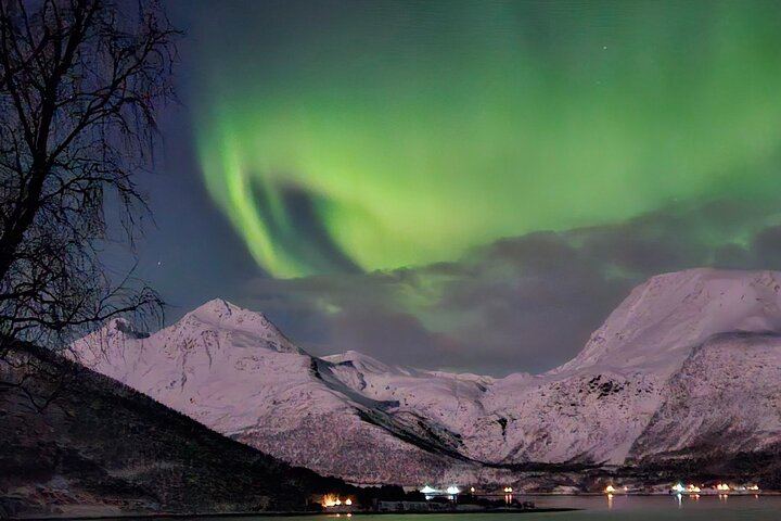 Chasse aux aurores en minibus à Tromsø, avec un guide local et un camp de base privé (3/8)