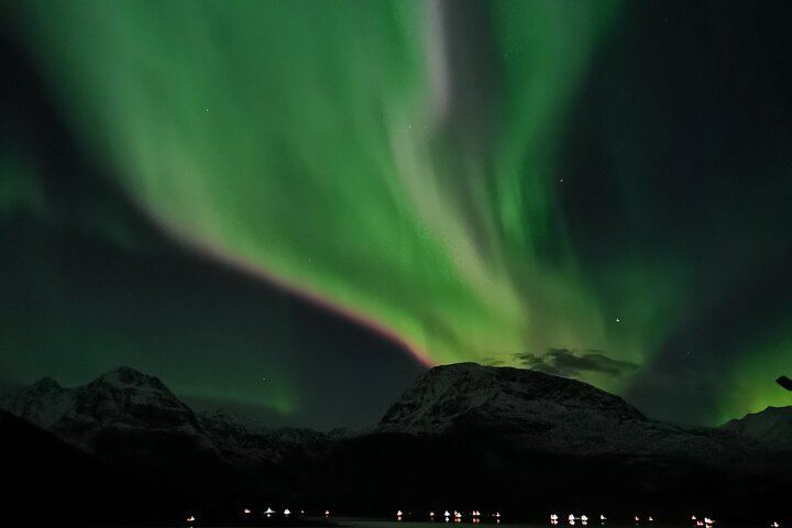Chasse aux aurores en minibus à Tromsø, avec un guide local et un camp de base privé (7/8)
