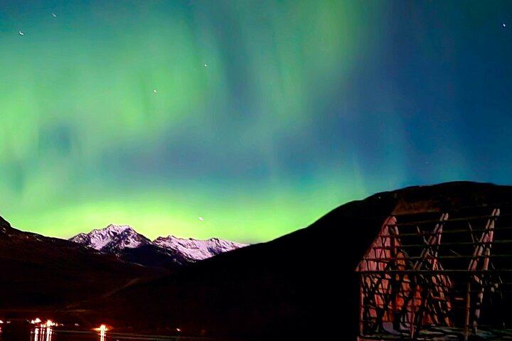 Chasse aux aurores en minibus à Tromsø, avec un guide local et un camp de base privé (5/8)