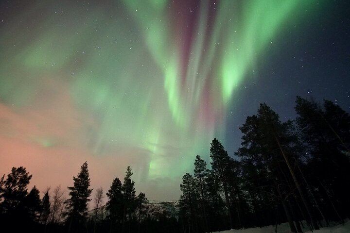 Northern Lights Tour Around the Altafjord with Alta Adventure (10/12)