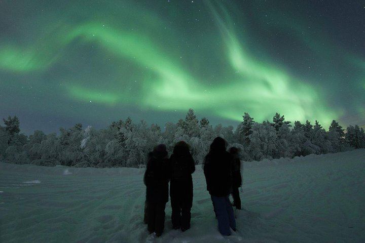 Drei-Stunden-Nordlichttour ab Rovaniemi mit Lagerfeuer und Grillen (10/12)