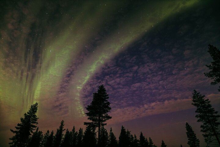 Drei-Stunden-Nordlichttour ab Rovaniemi mit Lagerfeuer und Grillen (4/12)