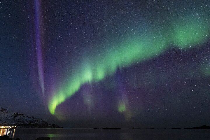 Tromso Northern Lights Minibus Tour with Expert Guides, Max 18 (11/12)