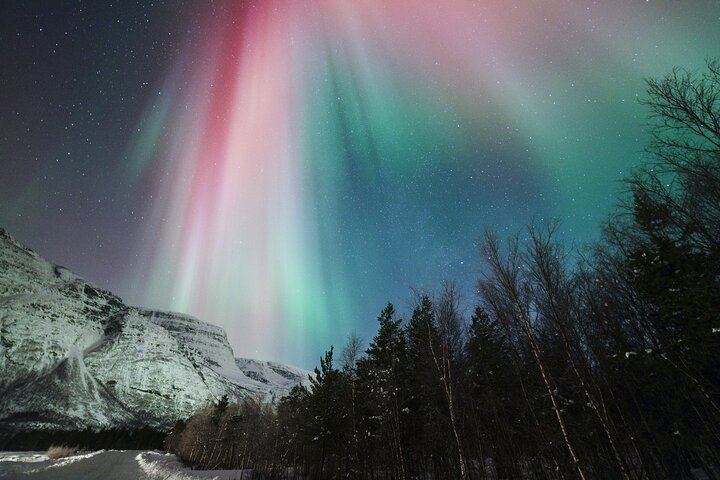 Tromso Northern Lights Minibus Tour with Expert Guides, Max 18 (5/12)