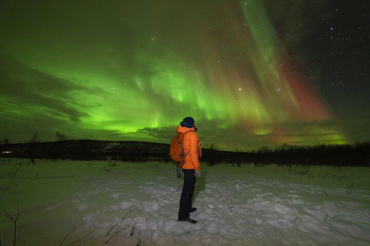 Tromso Northern Lights Minibus Tour with Expert Guides, Max 18 (9/12)