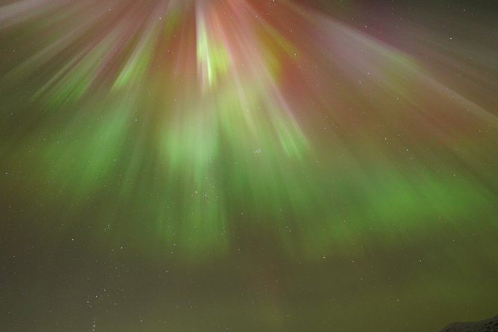 Chasse aux aurores à Tromsø, avec feu de joie, boissons chaudes et photos gratuites (9/12)