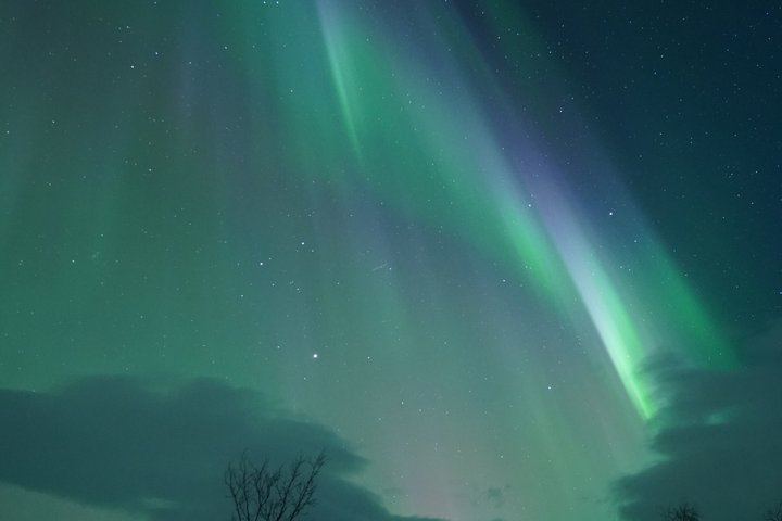 Chasse aux aurores à Tromsø, avec feu de joie, boissons chaudes et photos gratuites (12/12)