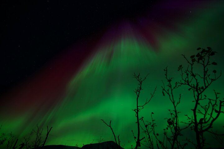 Chasse aux aurores à Tromsø, avec feu de joie, boissons chaudes et photos gratuites (6/12)