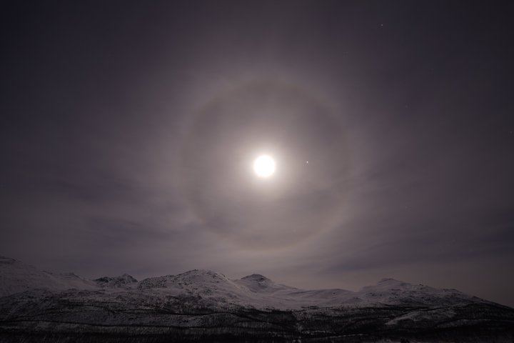 Chasse aux aurores à Tromsø, avec feu de joie, boissons chaudes et photos gratuites (11/12)
