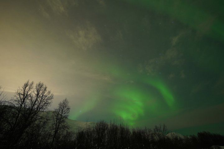 Chasse aux aurores à Tromsø, avec feu de joie, boissons chaudes et photos gratuites (10/12)