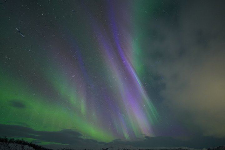 Chasse aux aurores à Tromsø, avec feu de joie, boissons chaudes et photos gratuites (4/12)