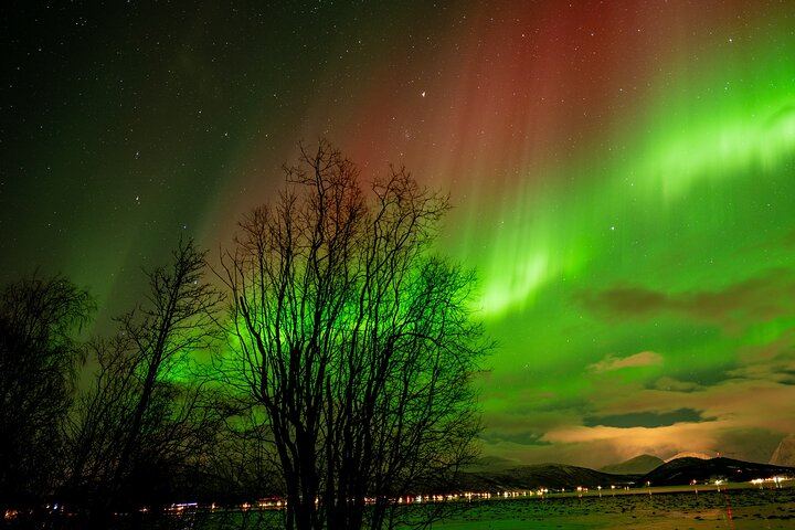 Northern Lights Tour from Tromso with Arctic Glow, Local Guides and Photos (12/12)