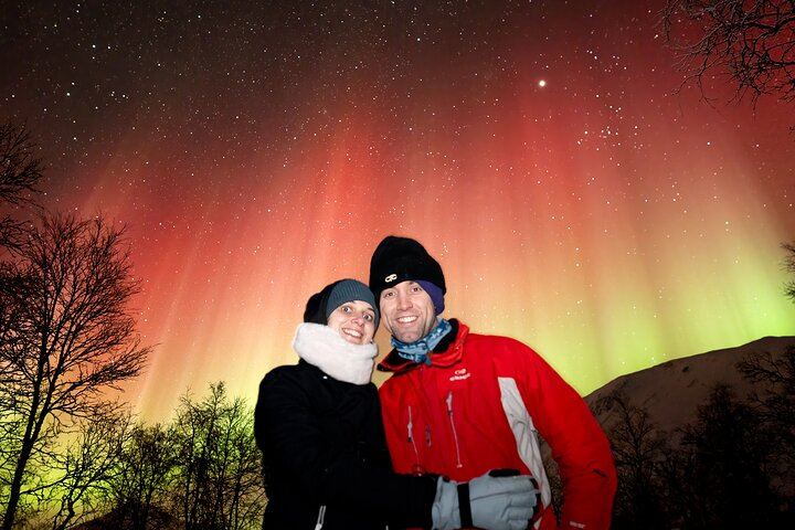 Northern Lights Tour from Tromso with Arctic Glow, Local Guides and Photos (2/12)