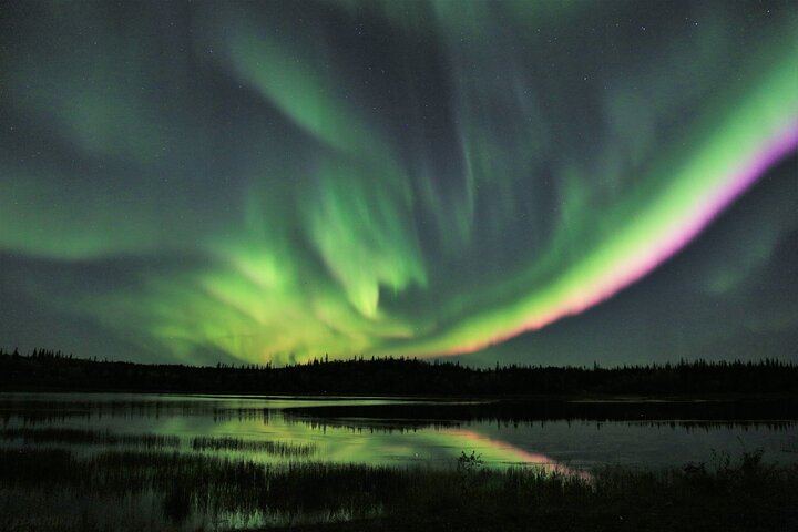 Northern Lights Bus Tour on the Ingraham Trail from Yellowknife (2/12)
