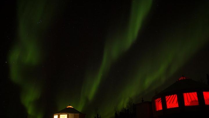 Observation des aurores boréales avec une promenade en traîneau à chiens et un dîner typique de l'Alaska (4/5)