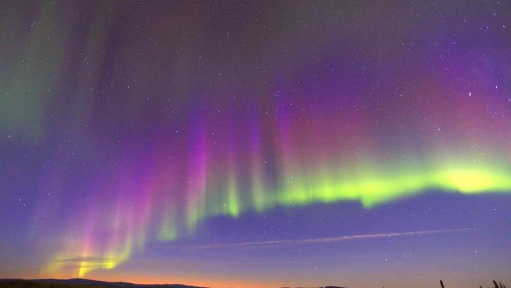 Observation des aurores boréales avec une promenade en traîneau à chiens et un dîner typique de l'Alaska (2/5)