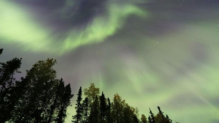 Observation des aurores boréales avec une promenade en traîneau à chiens et un dîner typique de l'Alaska (1/5)