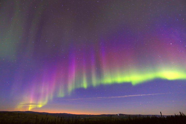 Observation des aurores boréales avec une promenade en traîneau à chiens et un dîner typique de l'Alaska (2/5)