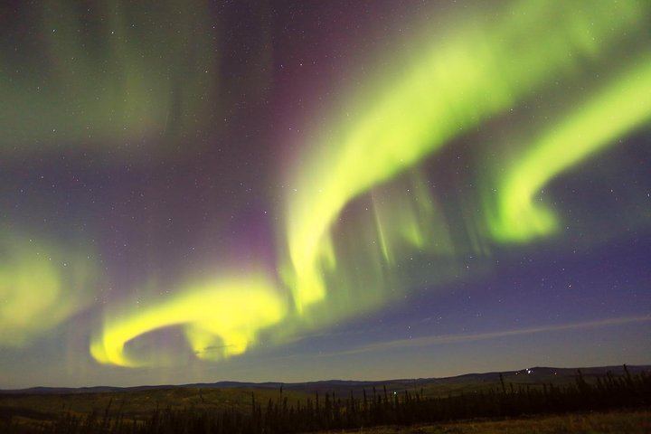 Observation des aurores boréales avec une promenade en traîneau à chiens et un dîner typique de l'Alaska (5/5)