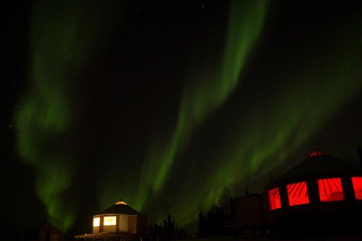 Observation des aurores boréales avec une promenade en traîneau à chiens et un dîner typique de l'Alaska (4/5)