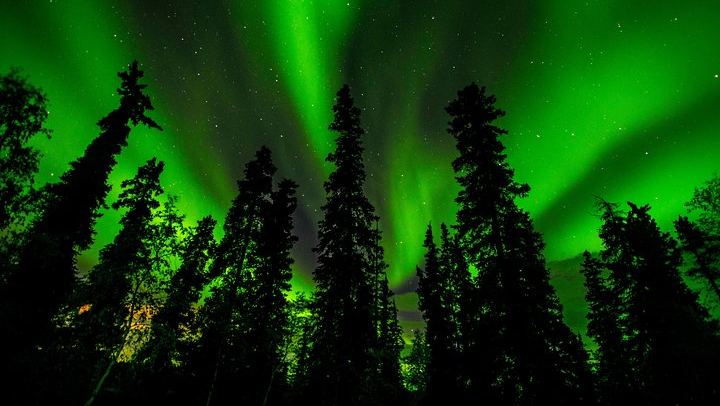 Yellowknife Aurora Tour with No Time Limit and Unlimited Photos