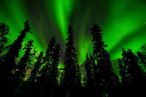 Yellowknife Aurora Tour with No Time Limit and Unlimited Photos