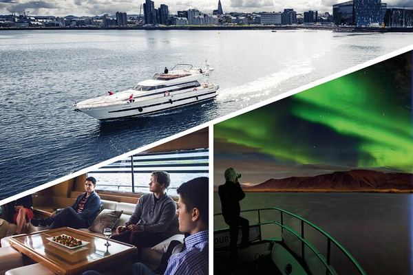 Northern Lights Yacht Cruise from Reykjavík aboard the Harpa, Max 35