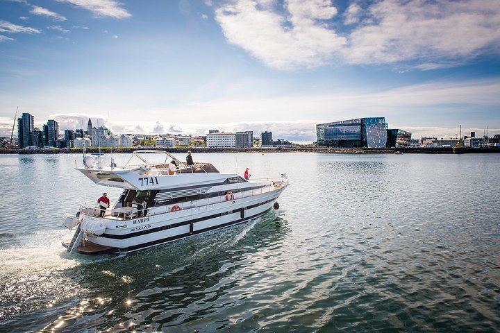 Croisière à bord du yacht Harpa (capacité maximale de 35 personnes) pour observer les aurores boréales, au départ de Reykjavik (10/12)