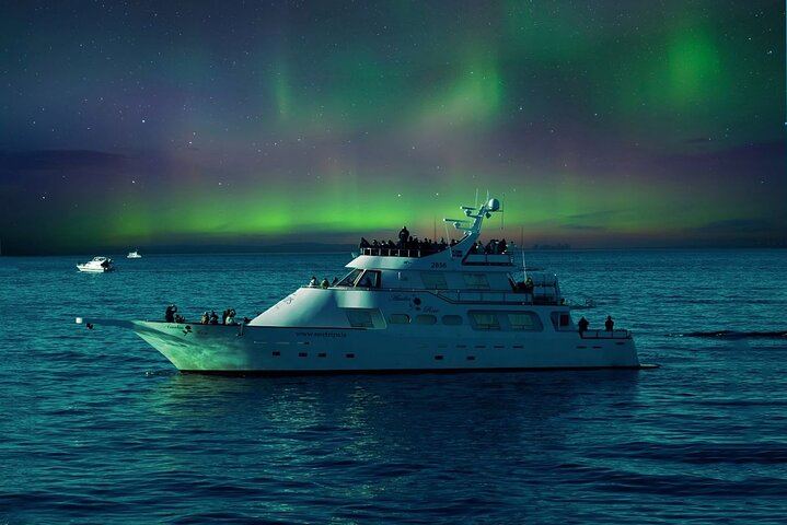 Northern Lights Cruise aboard the Amelia Rose from Reykjavík (1/12)