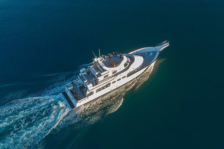 Northern Lights Cruise aboard the Amelia Rose from Reykjavík (6/12)