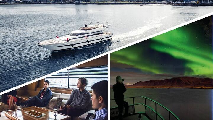 Northern Lights Yacht Cruise from Reykjavík aboard the Harpa, Max 35
