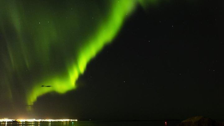 Croisière à bord du yacht Harpa (capacité maximale de 35 personnes) pour observer les aurores boréales, au départ de Reykjavik (4/12)