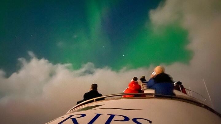 Northern Lights Cruise aboard the Amelia Rose from Reykjavík
